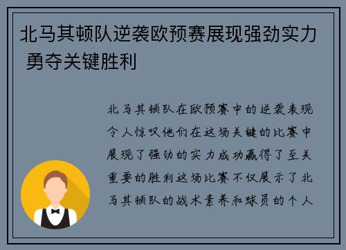 北马其顿队逆袭欧预赛展现强劲实力 勇夺关键胜利