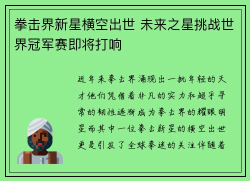 拳击界新星横空出世 未来之星挑战世界冠军赛即将打响